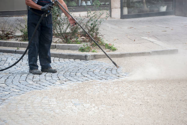Best Winterizing Services  in Lakeview, MI